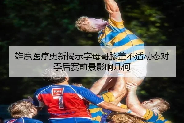 雄鹿医疗更新揭示字母哥膝盖不适动态对季后赛前景影响几何